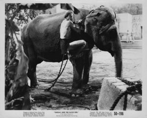 Still of Lex Barker and elephant from Tarzan and the Slave Girl