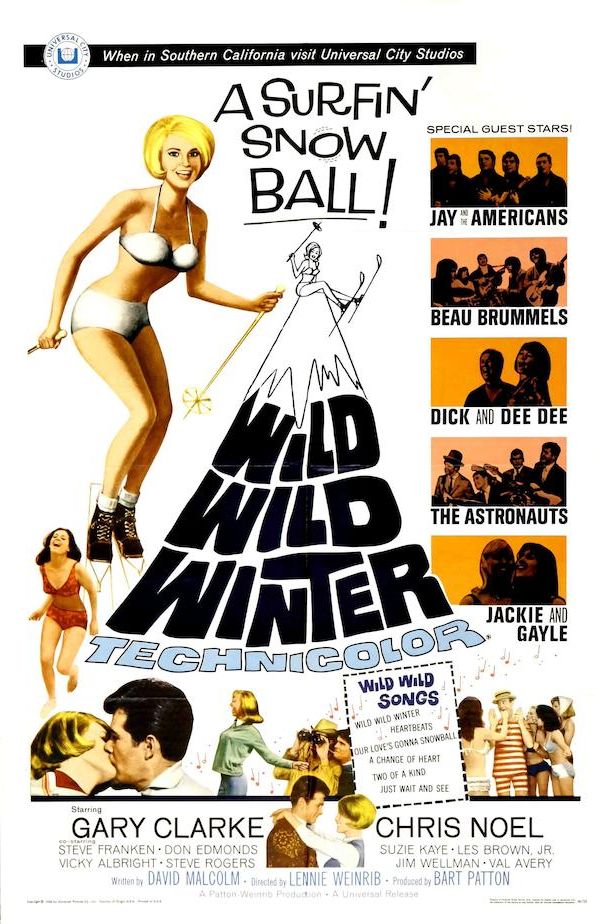 Poster for the movie Wild Wild Winter