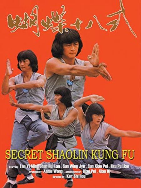 Poster for the movie Secret Shaolin Kung Fu