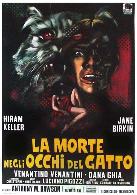 Poster for the movie La morte negli occhi del gatto