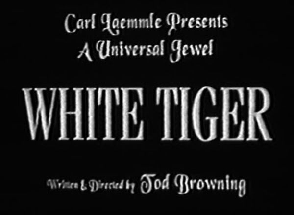 Title screen for the movie White Tiger