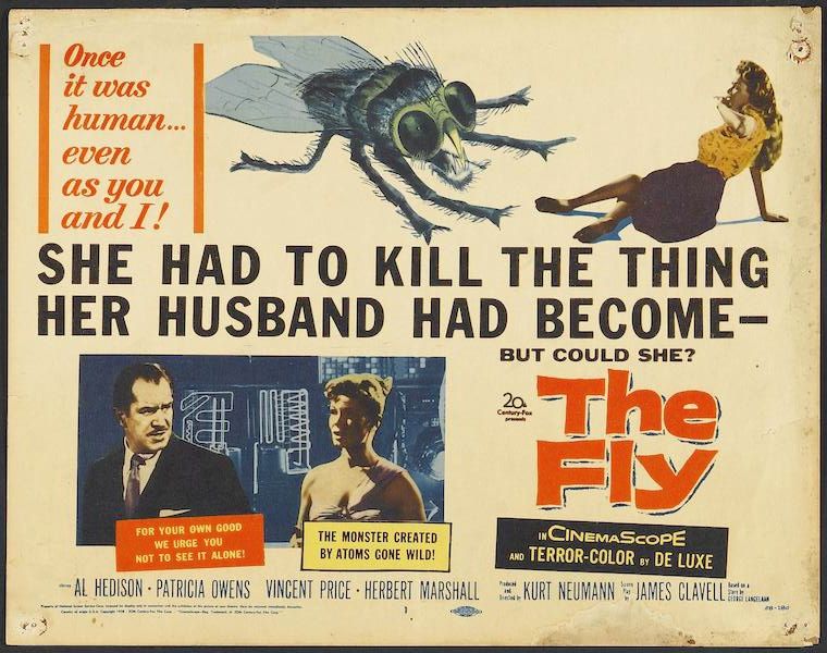 Lobby card for the movie The Fly